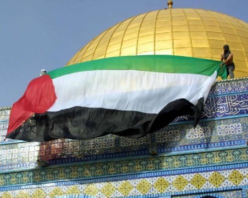 palestine-dom-flag