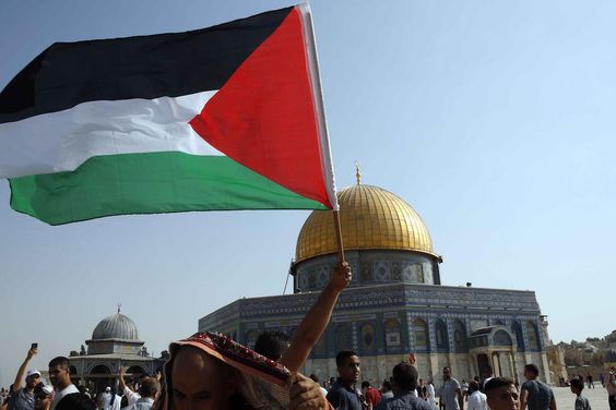 palestine-dom-flag02